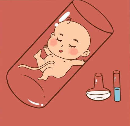 首席专家